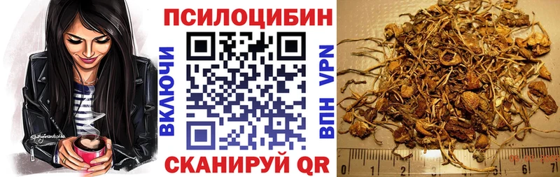 Псилоцибиновые грибы мицелий  Коломна 